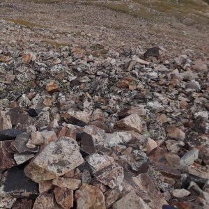 FOURTEENER ROCK (Mosquito)