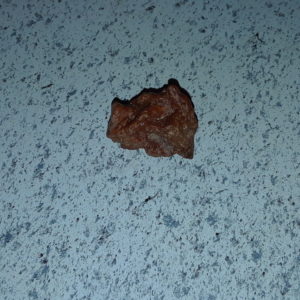 Special Find